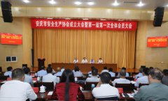 安庆市安全生产协会成立大会召开并举行第一届第一次全